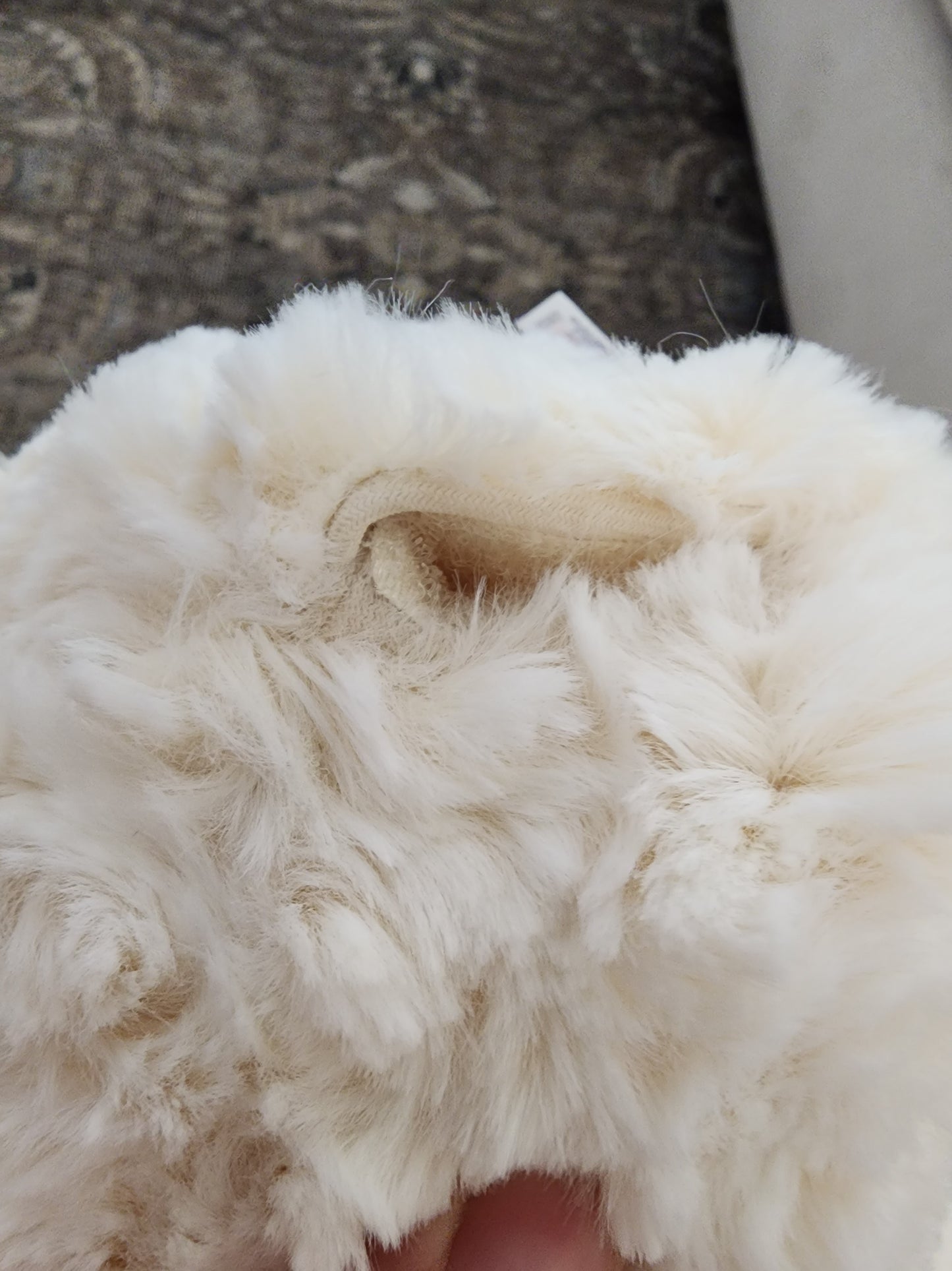 "Scratch and Dent" Lamb Sale