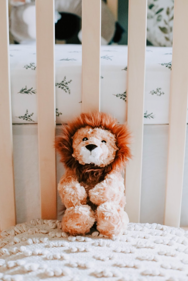 Lion Huggy