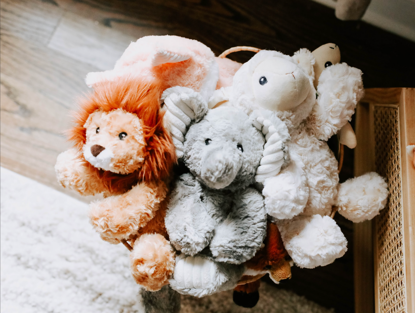 "Your Music, Your Way" Personalized Musical Plush